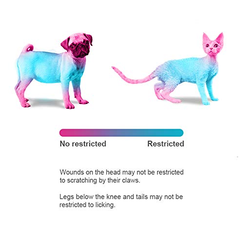 Pet Adjustable Recovery Collar (L)