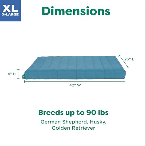 Orthopedic Dog Bed (X-Large / Lagoon)