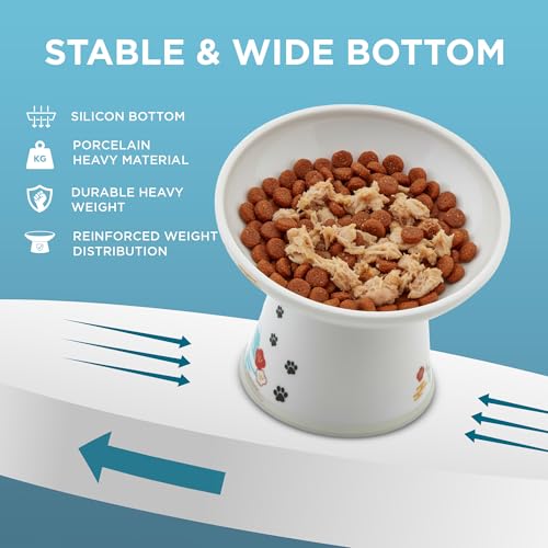Necoichi Ceramic Raised Cat Food Bowl (Fuji / Large Extra Wide Tilted)