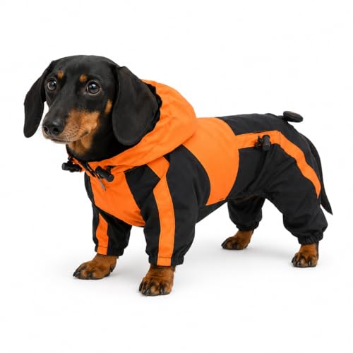 Welsh Corgi Dog Hooded Raincoat (D-L (for Corgi) / Orange)