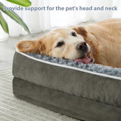 Orthopedic Washable Dog Bed (Dark Green / 42.0"l x 30.0"w x 7.5"th)