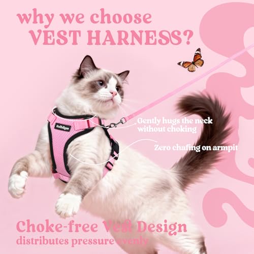Cat Harness and Leash Set (S / Pink)
