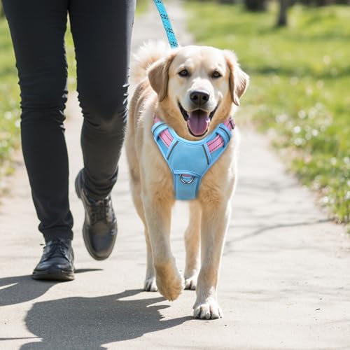 Dog Harness for Medium Sized Dog No Pull Dog Vest ID Tag Pocket (Baby Blue & Baby Pink / Medium)