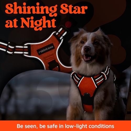 Dog Harness for Large (Orange / X-Large)