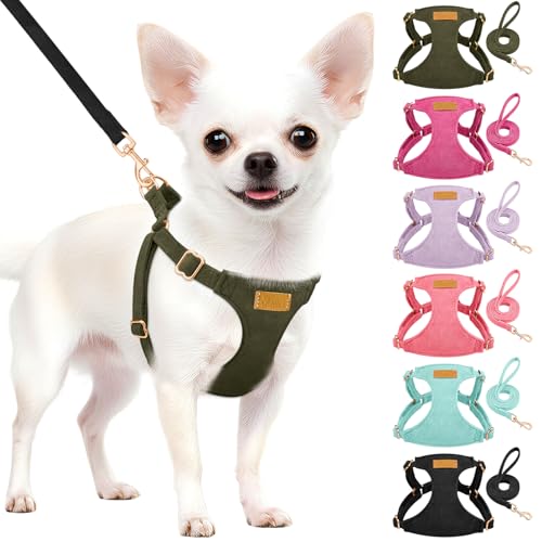No Pull Dog Harness with Leash for Small Medium Dogs (X-Small(6-11lb) / Solid Military Green)