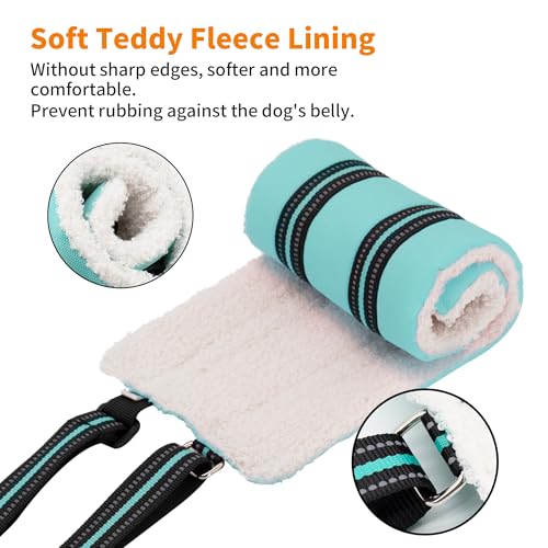 Adjustable Dog Sling Dog Lift Harness Hind Leg Support (Turquoise / XL)