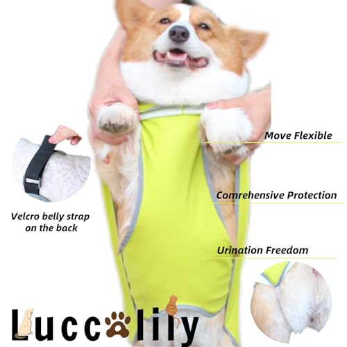 Dog Rain Jacket with Hood for Small Pet (Light Green / X-Small)