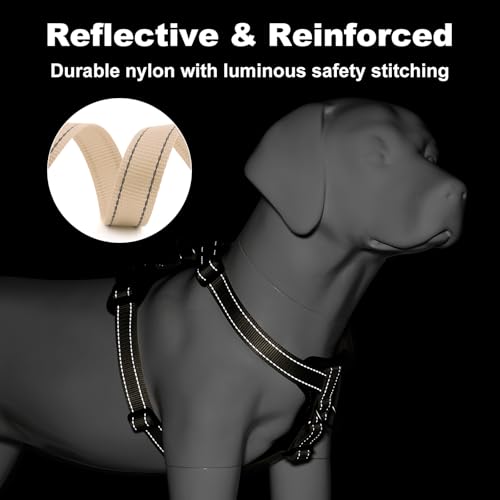 No Pull Dog Harness with Leather Accents (XL / Beige)