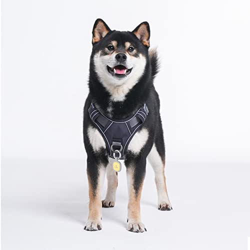 No Pull Dog Harness with Pet ID Tag (L (Chest: 27"-32" ) / Davy's Gray)