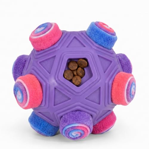 Dog Snuffle Ball (violet)