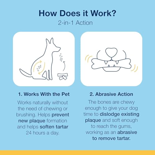Dental Bones for Dogs