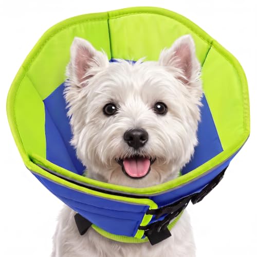 Dog Cones for Medium Dogs (BlueGreen / Medium)