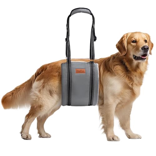 Dog Lift Harness for Large Dogs (X-Large (Pack of 1) / Grey)