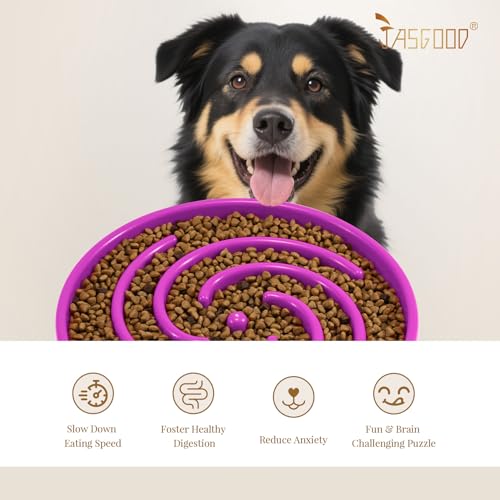 Slow Feeder Dogs Bowl for Large Medium Dogs (Large / F-Purple)