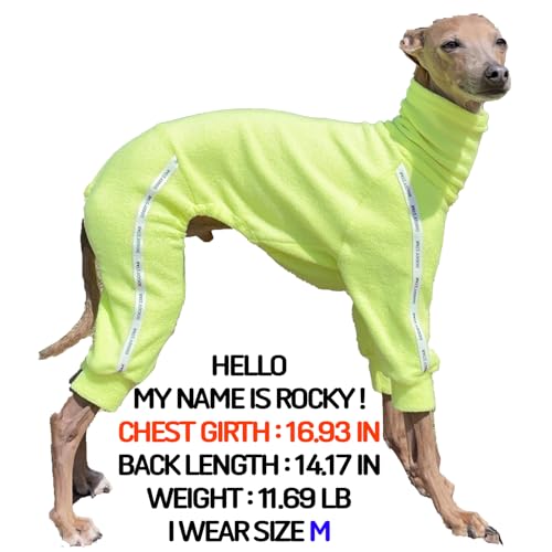 D Doggy Star Italian Greyhound Clothes Stretchy Towel Sports Onesie Outfit Whippet for Dog Coat (3XL / Towel Neon Yellow)