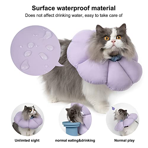 Cat Cone Collar (Small / purple)