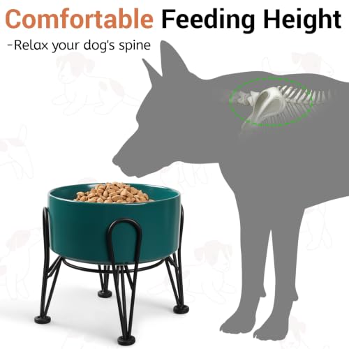 Elevated Dog Bowls (Green / 3.6 Cups | 2 Pack | For Medium Dogs)