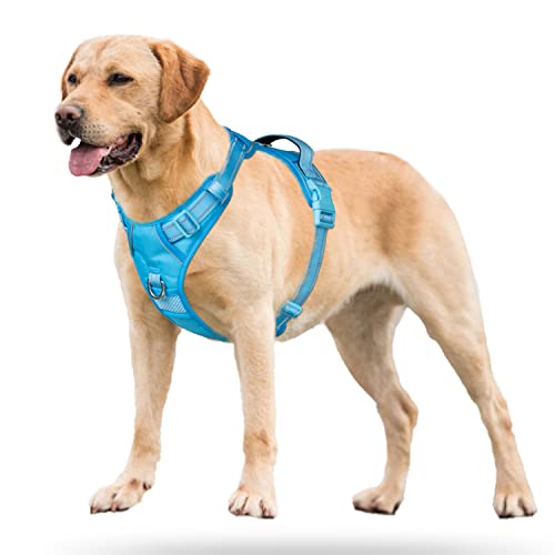 No Pull Dog Harness (L / Blue(Matching Trim))
