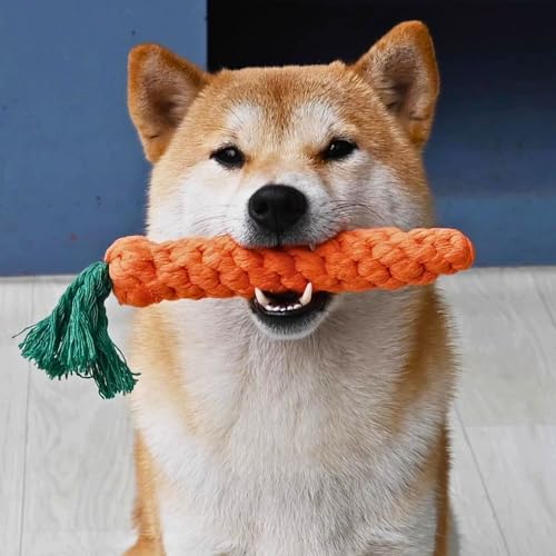 10 PCS Carrot Dog Rope Toys for Dogs (10-Pack)