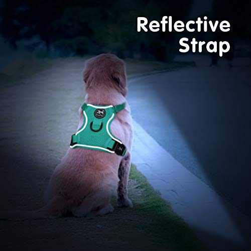 Mesh Dog Harness (L / Mint Green)
