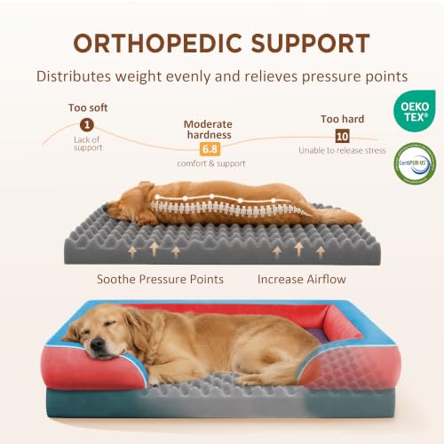 Orthopedic Dog Bed for Extra Large Dogs with Bolster (45.0"L x 35.0"W x 8.5"Th / San Francisco)