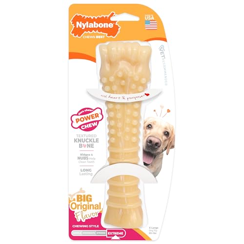 Power Chew Textured Bone Dog Chew Toy (X-Large)