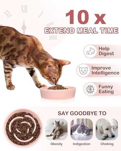Ceramic Slow Feeder Dog Bowls Small Breed (S-0.6 Cups / 02-Pink)