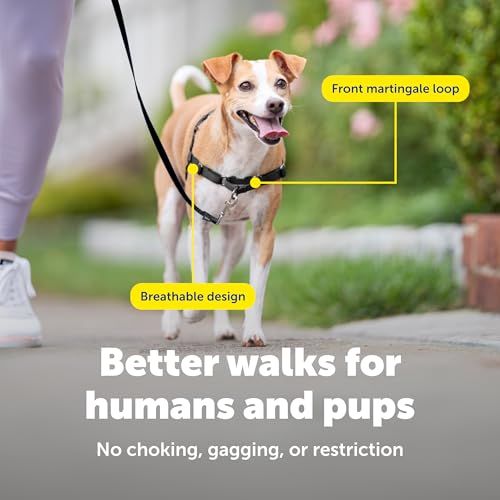 Easy Walk Harness for Dogs (Small / green)