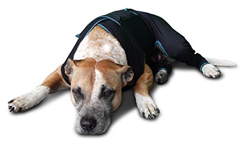 Therapeutic Comfort Suit for Dogs (X-Small)