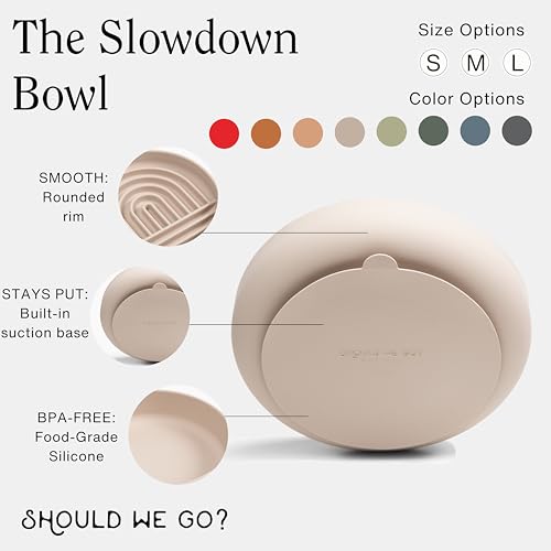Slow Feeder Dog Bowl (Cherry - Rainbow Design / Medium (7.5” Across x 1.5” Tall))