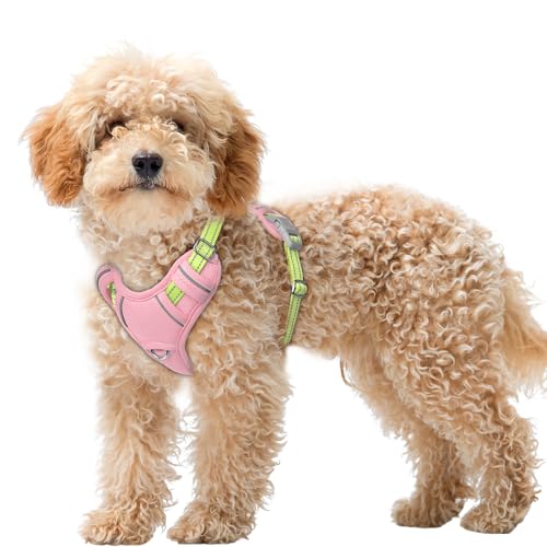 Dog Harness for Small Sized Dog No Pull Dog Vest ID Tag Pocket (Baby Pink & Sunlight / X-Small)