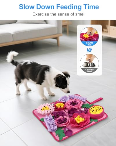 Snuffle Mat for Dogs