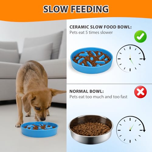 Ceramic Slow Feeder Dog Bowl (Maze - Blue / 2 Cups)