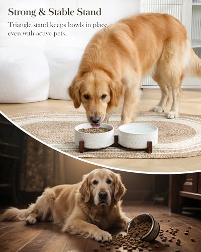 Dog Bowl Set Ceramic Bowls with Walnut Wood Stand (Five-leaf Grass+Honeycomb / 6 Cups)