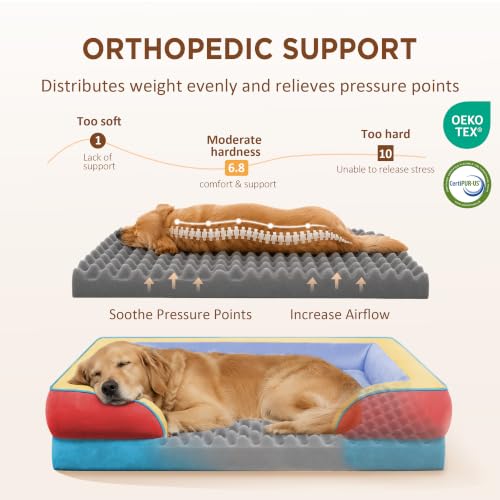 Orthopedic Dog Beds for Large Sized Dog with Bolster (36.0"L x 27.0"W x 8.0"Th / Funfetti Fiesta)