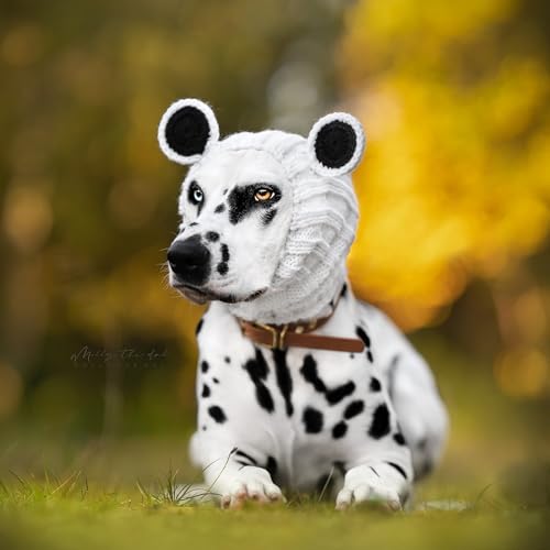 Panda Costume (Large / Panda)