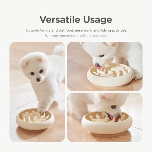 Slow Feeder Dog Bowls Made of Premium Food (Ivory / Standard)