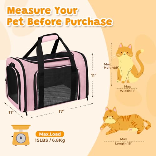 Cat Carrier Soft Up to 16 Lbs (17.0"L x 11.0"W x 11.0"H / Pink)