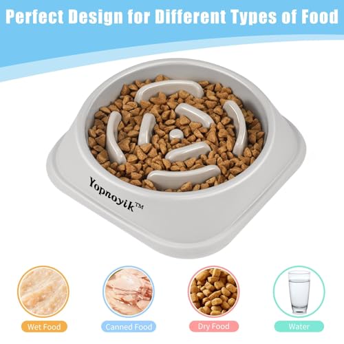 Slow Feeder Dog Bowls for Medium Dogs & Cats (Medium / Grey)
