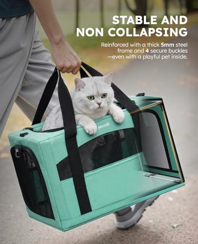 Cat Carrier Stable (Light Green / 16.9"L x 11.0"W x 11.0"H)
