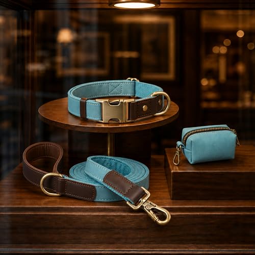 PU Leather Dog Leash for Large Dogs (Denim Blue / 1"x 6FT)