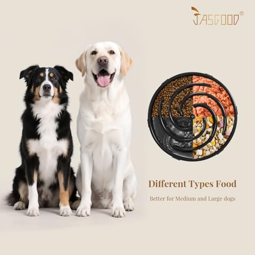 Slow Feeder Dogs Bowl for Large Medium Dogs (Large / A-Black)