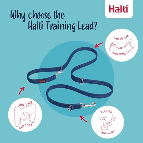 Training Dog Leash (Small / Cobalt Blue)