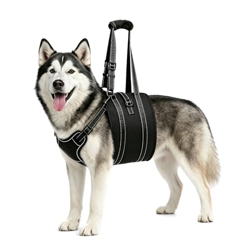 Dog Lift Harness Sling (X-Large / Black1)
