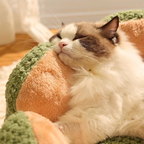 Cute Cat Beds Kitten Beds (Medium / Green)