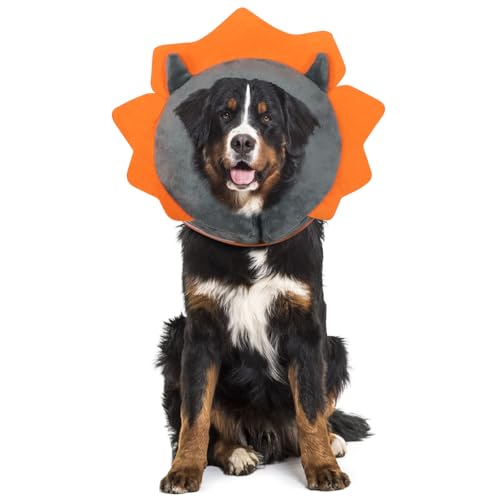 Inflatable Recovery Dog Collar (Grey Demon / Medium + (Neck:11''-13''))