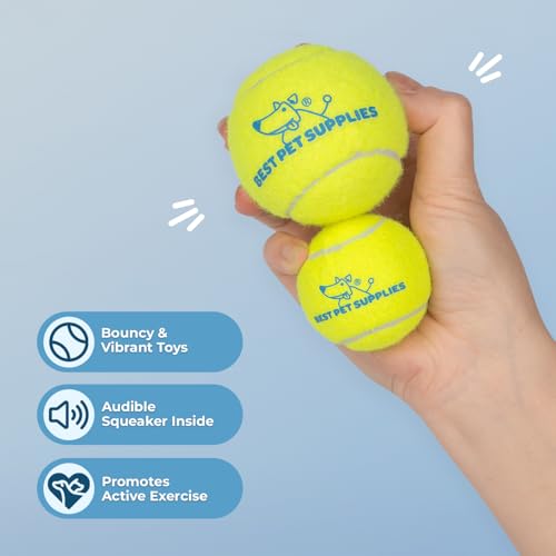 Interactive Squeaky Dog Chew Toy (Tennis (Yellow) / Small)