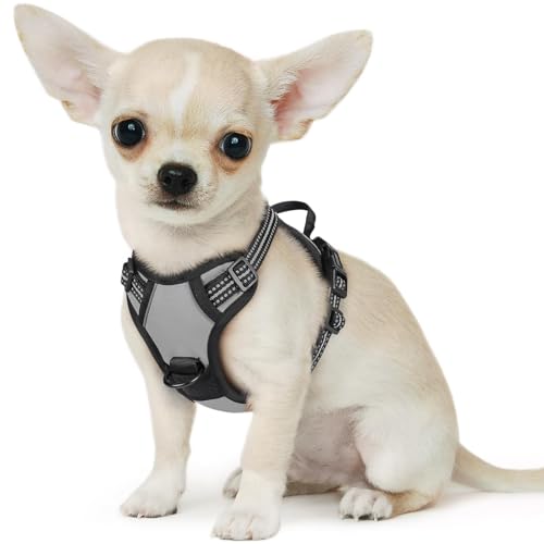 Dog Harness for Small Dogs (X-Small / Grey)