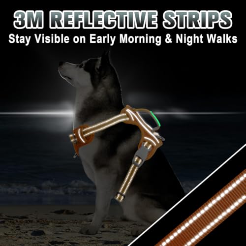 No Pull Dog Harness Large Reflective Dog Harness with Front Clip and Easy Control Handle for Walking Training Running with ID tag Pocket (Orange / Large)