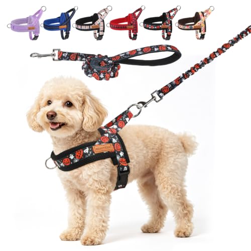 Dog Harness Medium Sized and Leash Set (Halloween Pumpkin / M: Chest 21"-26.7")